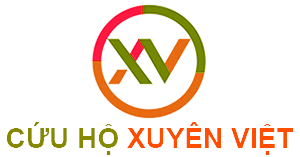 logo-xuyen-viet