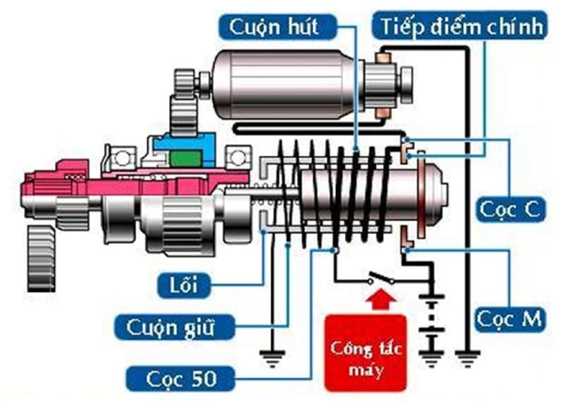 Vai trò cấu tạo của củ đề ô tô